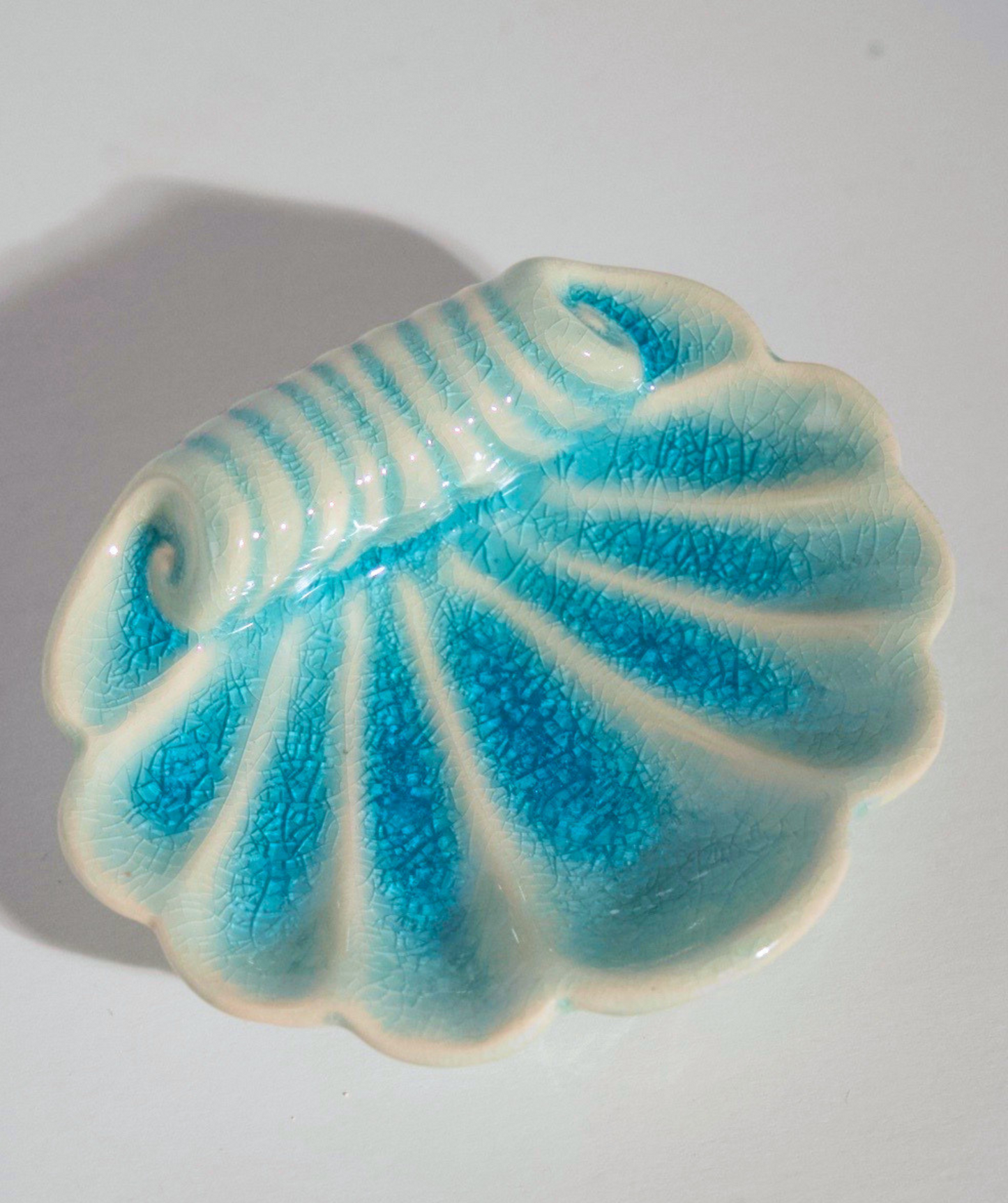 Sea Shell Trinket/Ring Holder 3''